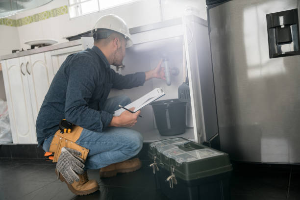 Best Drain Cleaning Services  in Dogtown, CA