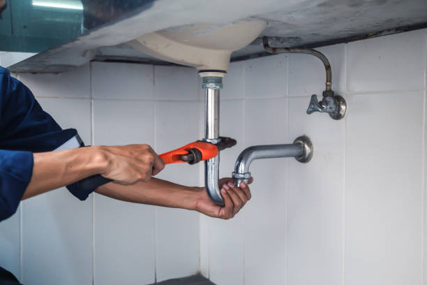  Dogtown, CA Plumbing Pros